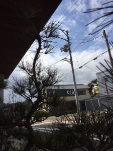 IMG_1285-e1510364055874-225x300