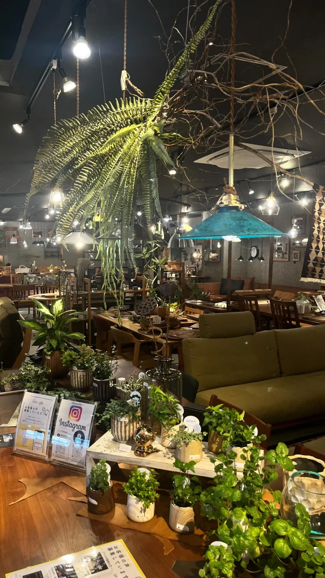 .
.
【SOLID高松】
こんにちは！SOLID高松です！
今回の投稿では観葉植物をいくつかご紹介しました！

solid高松では観葉植物もインテリの一部と考えているのでたくさん展示しております！

大変ご好評いただいておりますのでおすすめの観葉植物をご紹介しました！

聞き取りにくい部分あるかと思いますがご了承ください🙇

また他にもご紹介しきれなかった植物もたくさんあるのでぜひご来店ください！

@mizobuchikagu 
飛騨の家具
学習デスク情報はこちらから
@ym_jutan 
GOSHIMA絨毯
ギャッベ情報はこちらから
@aruku.neko 
ヴィンテージ家具情報はこちらから

#家具 #インテリア #インテリアグリーン #観葉植物 #solid高松