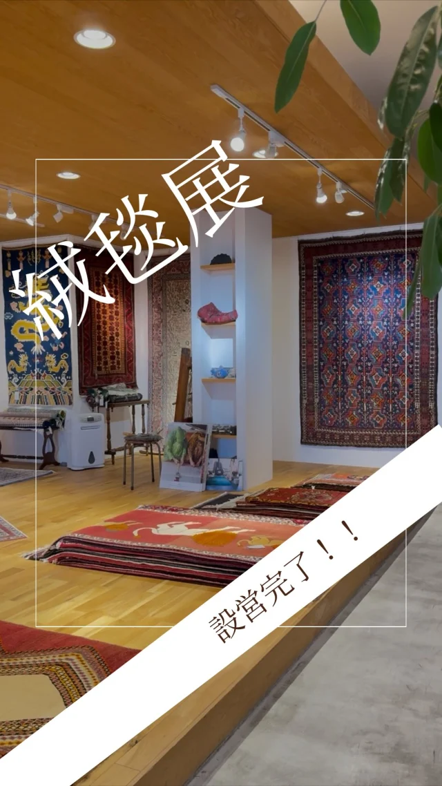 ･
･
【ペルシャ絨毯＆トライバル絨毯展】

こんにちは！ミゾブチ家具です🪑

明日から始まる絨毯展に向けて、全員で設営を行いました😊

2m×3mの大きいサイズからソファー前、玄関サイズなど様々な大きさをご用意しております！

シルクで織られた美しい絨毯や100年前のアンティーク絨毯などなど、普段は見られない絨毯たちをご覧いただける9日間。

素敵な出逢いがあるかもしれません😍
ぜひ、お越しください♪

商品につきましては、DMもしくはお電話にてお問い合わせくださいませ🌱

ーーーーーーーーーーーーーーーーーーー
@solid.takamatsu
世代を超えて愛される家具
solid高松店の情報はこちらから

@ym_jutan
ミゾブチ家具の絨毯部
絨毯の情報はこちらから

@aruku.neko 
北欧ヴィンテージ家具
ヴィンテージの情報はこちらから
ーーーーーーーーーーーーーーーーーーー

#ミゾブチ家具
#ペルシャ絨毯
#トライバル絨毯
#ギャッベ
#絨毯展