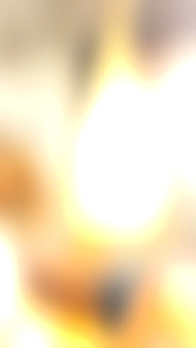 .
.
【SOLID高松】
こんにちは！SOLID高松です！
照明選び、困っていませんか？

様々な照明があり、お部屋のイメージとの兼ね合いなども勿論あります。
そんな中で簡単な最近のお家は明るすぎるぐらい光量は充分なのです。

実際リビングダイニングに置く照明はアクセントになることが多く、暖色系の電球などで様々な雰囲気を演出できます。

また、solid高松で特に人気なのガラスの照明。
水場やトイレ、玄関などに購入される方が多い印象。

狭い空間にこそガラスの柔らかな陰影が生きてきます。

照明も多数展示しておりますので、ぜひご相談ください。

@mizobuchikagu 
飛騨の家具
学習デスク情報はこちらから
@ym_jutan 
GOSHIMA絨毯
ギャッベ情報はこちらから
@aruku.neko 
ヴィンテージ家具情報はこちらから

#solid #ソリッド #solid家具 #ソリッド家具 #solid高松