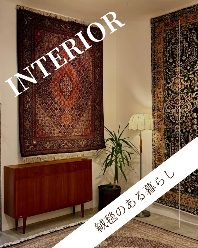 ･
･
【絨毯のある暮らし】

こんにちは！ミゾブチ家具です🪑

ミゾブチ家具がオススメする世界の絨毯。
一枚の絨毯がお部屋の空間を変えます。

足元に柔らかさが生まれるだけではなく、
過ごし方も、くつろぎ方も、少しずつ変わっていく。

絨毯はただ敷くものではなく、家具の魅力をより引き立てる存在です。

商品につきましては、DMもしくはお電話にてお問い合わせくださいませ🌱

ーーーーーーーーーーーーーーーーーーー
@solid.takamatsu
世代を超えて愛される家具
solid高松店の情報はこちらから

@ym_jutan
ミゾブチ家具の絨毯部
絨毯の情報はこちらから

@aruku.neko 
北欧ヴィンテージ家具
ヴィンテージの情報はこちらから
ーーーーーーーーーーーーーーーーーーー

#ミゾブチ家具
#絨毯
#絨毯のある暮らし 
#ヴィンテージ家具
#インテリア