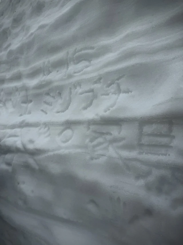 ･
･
【富山研修を兼ねて】

こんにちは！ミゾブチ家具です🪑

木曜日にお店を休業させていただき、スタッフ全員で富山の研修に行ってきました🚗

研修の前に・・・。
今のメンバーになってはじめての社員旅行として、富山県の「雪の大谷」へ。

4月15日から開催されるということで、ちょうど初日に行くことができました❄️

社長と店長は途中で離脱しましたが、テレビでしか観たことがなった景色に圧倒され、よい想い出になりました。

只今、研修を終えて2台で高松に帰っています。
研修で得たコトや気付きを実行に移して、さらにお客様に喜んでいただける会社になれるよう精進してまいります。

ーーーーーーーーーーーーーーーーーーー
@solid.takamatsu
世代を超えて愛される家具
solid高松店の情報はこちらから

@ym_jutan
ミゾブチ家具の絨毯部
絨毯の情報はこちらから

@aruku.neko 
北欧ヴィンテージ家具
ヴィンテージの情報はこちらから
ーーーーーーーーーーーーーーーーーーー

#ミゾブチ家具 
#solid高松
#社員旅行
#社員研修
#雪の大谷